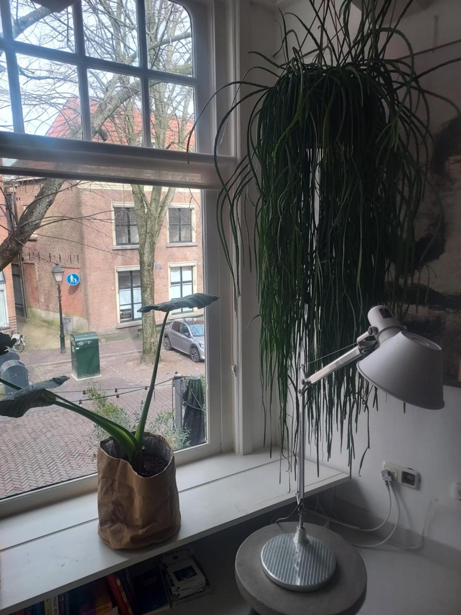 Volledige Bovenwoning Binnenstad Leeuwarden Exteriör bild